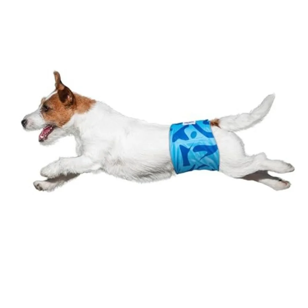 New In Package Dog XL Belly Bands